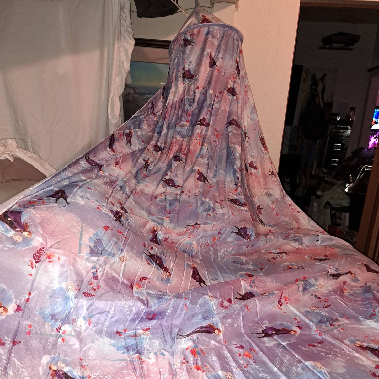 Frozen 2 Girls Bed Canopy Tent, Elsa & Anna, 100 in x 180 in