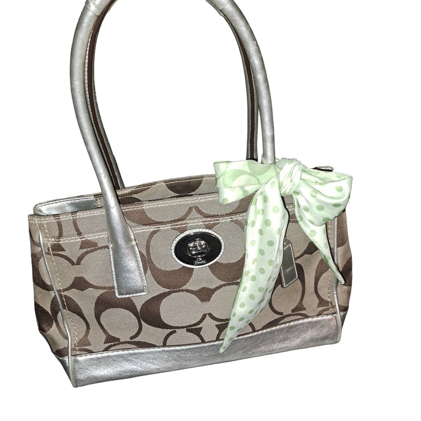 FABULOUS COACH Brown-Gold-Silver Lime Green Interior and Coach Scarf
