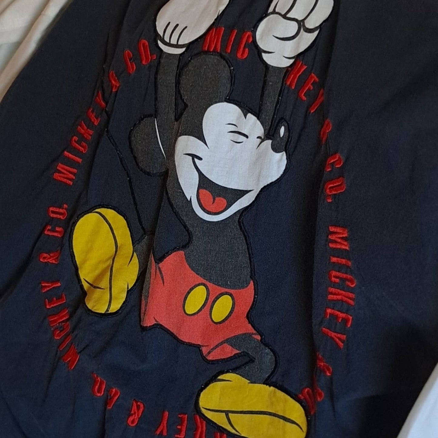 Mickey  multi-colored lined windbreaker with hidden hood. Used but in good shape. LG